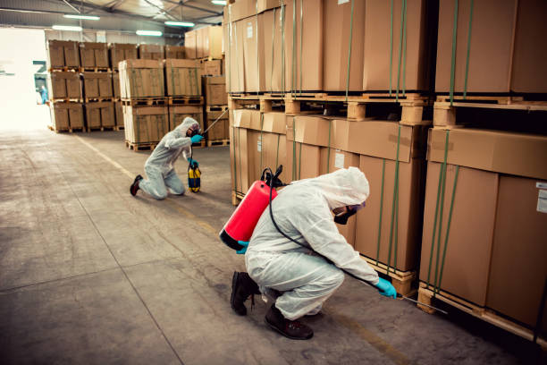 Best Ant Control Services  in Clanton, AL