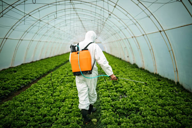 Best Best Pest Control Companies  in Clanton, AL