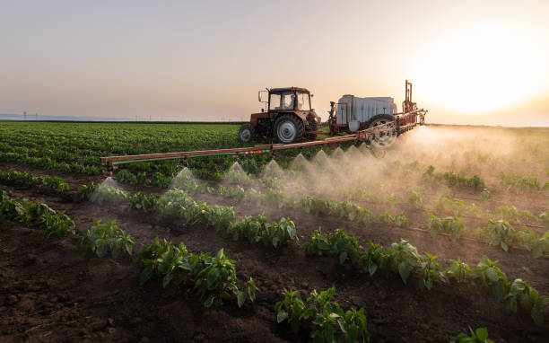 Best Pest Removal Services  in Clanton, AL