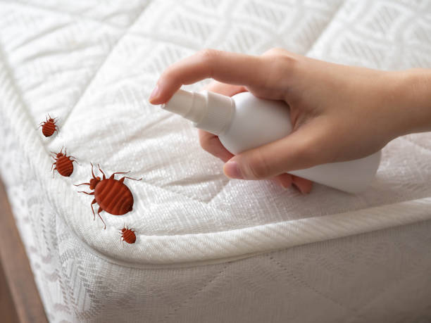 Best Emergency Pest Control  in Clanton, AL