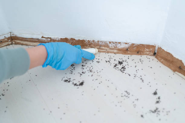 Best Best Pest Control Companies  in Clanton, AL
